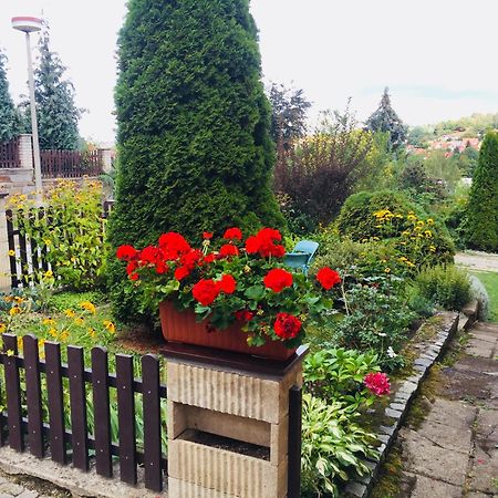 Villa Cihelna Apartments Český Krumlov المظهر الخارجي الصورة